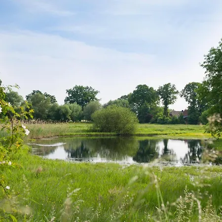 Holiday home Elbferienhaus-an-der-elbe