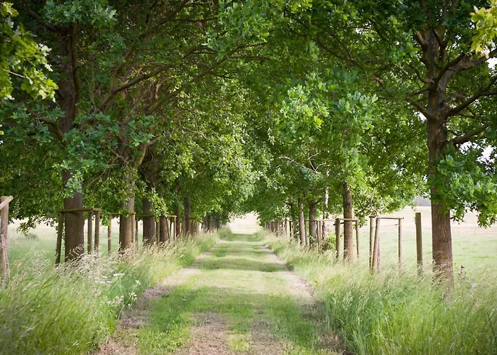 Elbferienhaus-an-der-elbe *